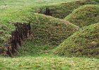 3 Newfoundland Park.jpg